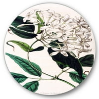 עיצוב חיי צמחים קדומים XXIV אמנות קיר מתכת מעגל מסורתי - דיסק של 23