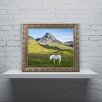 סימן מסחרי אמנות 'מתחת להר הגעש' בד אמנות על ידי מייקל בלאנשט צילום, זהב מצועצע מסגרת