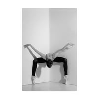 סימן מסחרי אמנות 'תנוחת ריקוד' אמנות בד מאת סטודיו פוטוינק